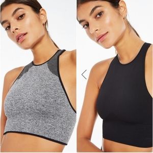 Avocado Earth Crop Sports Bra Top Grey Black